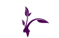 Blossom Girls Outreach Foundation logo